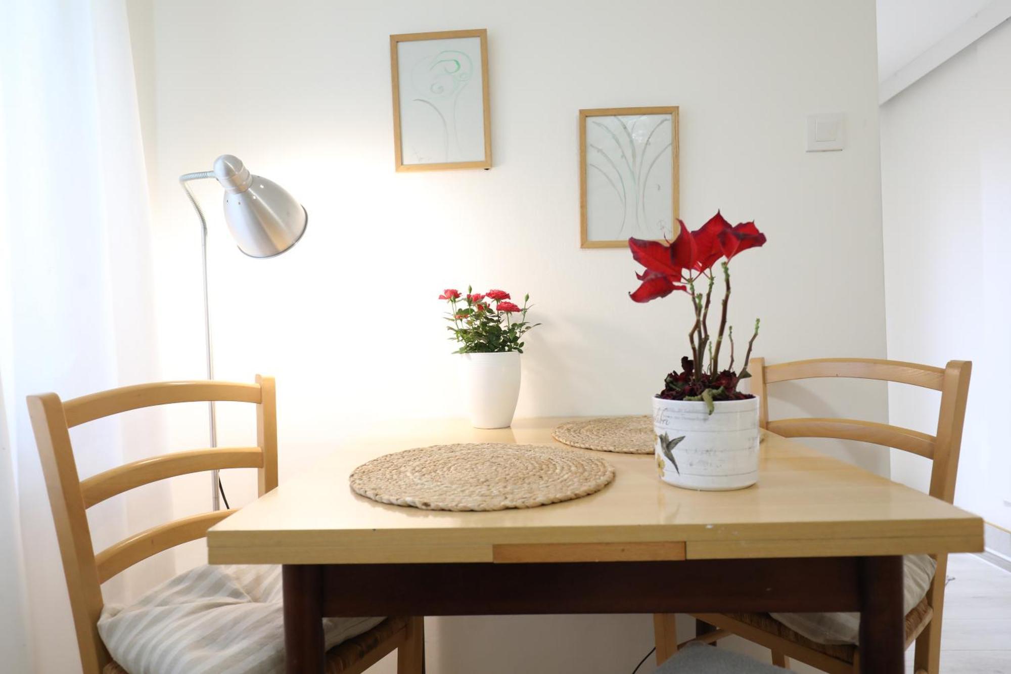 Apartment Mir Pula Eksteriør billede